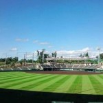 ブックメーカーで阪神タイガースに賭ける方法 1