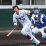 阪神の陽川尚将が1軍昇格!金本チルドレンの最終兵器! 1