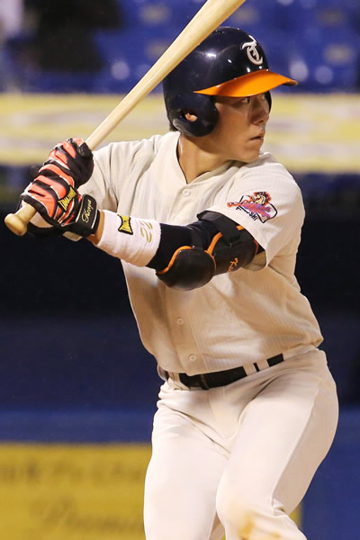 阪神タイガース17年補強まとめ Faや外国人獲得の最新情報 阪神タイガースねっと 阪神タイガースねっと