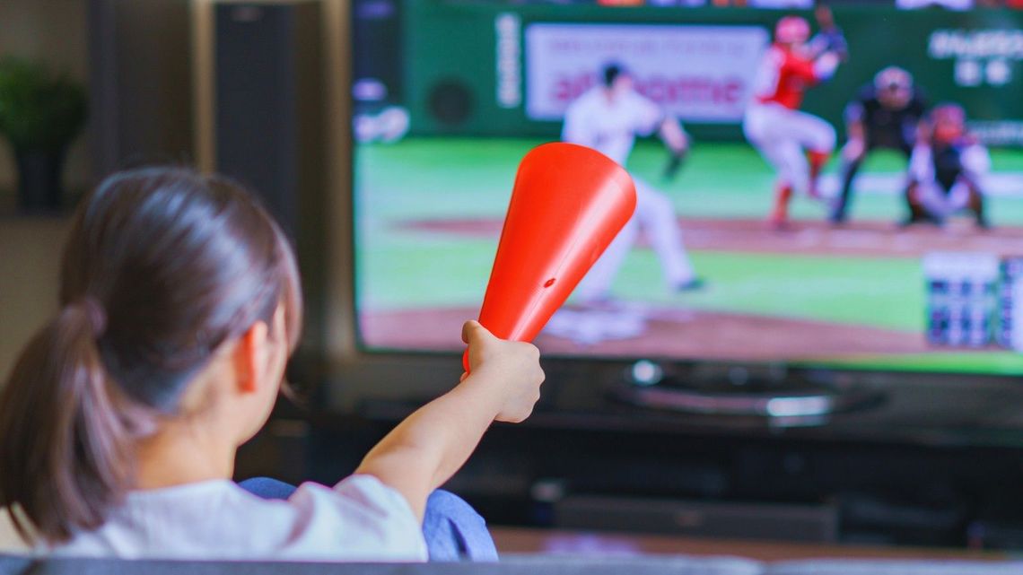 プロ野球の試合中継をネットで見る方法