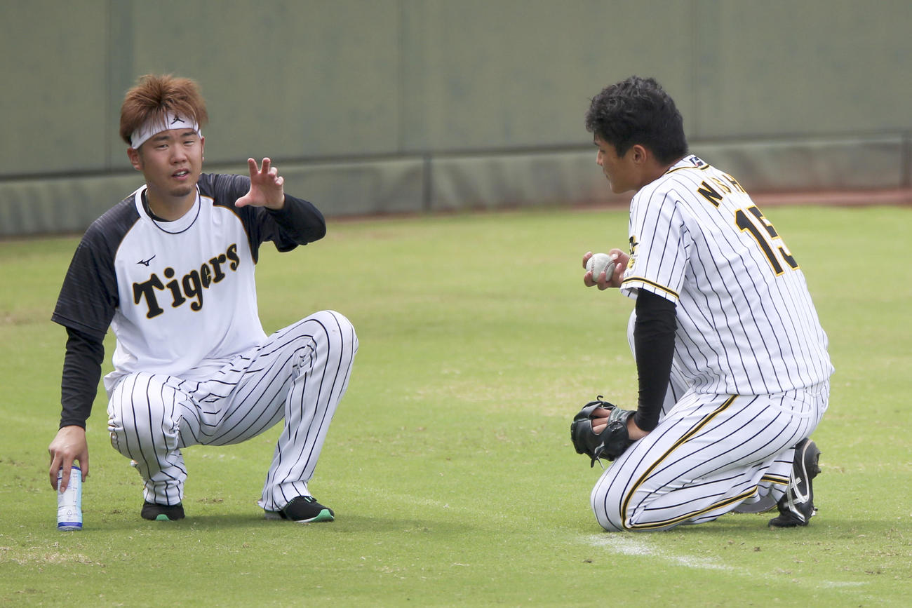 【阪神】西純矢と西勇輝の家系図は？遠い親戚って本当？経歴も調査