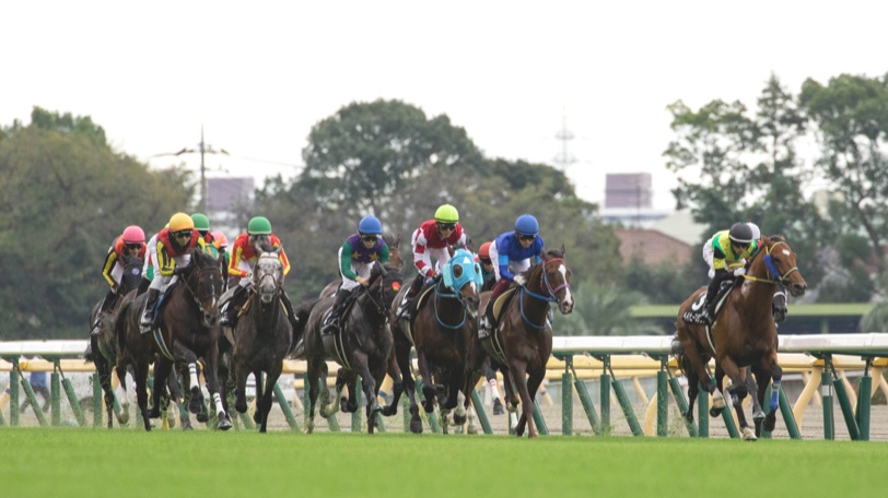 競馬の税金はばれない？利益がでた際の計算や確定申告の方法を解説